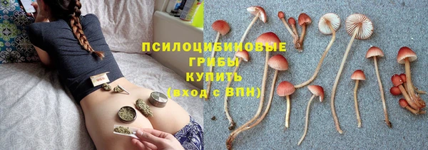 mdma Гвардейск