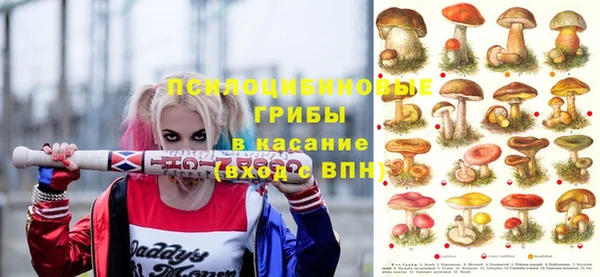 гидропоника Карпинск