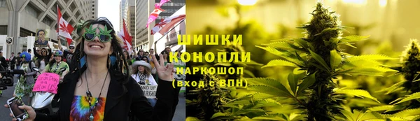 гидропоника Карпинск